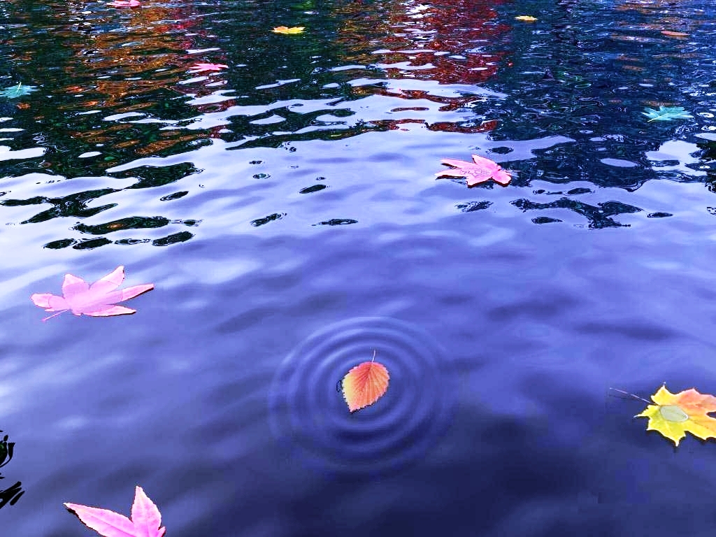 Omeografia dell’acqua