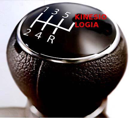 Kinesiologia, la marcia in più che fa la differenza