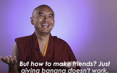 Insegnamenti, con semplicità e simpatia!