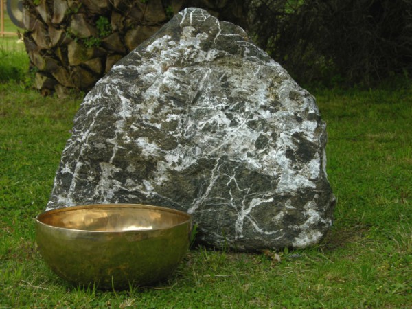 UN MAESTRO DALLA SVIZZERA