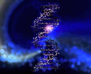 dna-luce