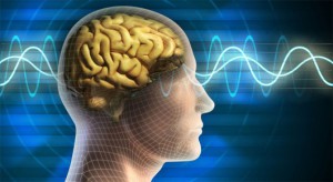 brain-waves